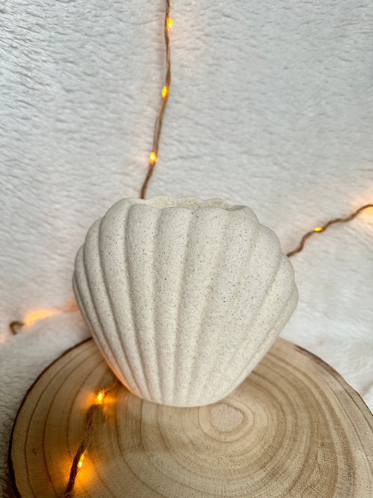 Brûleur Coquillage 🐚